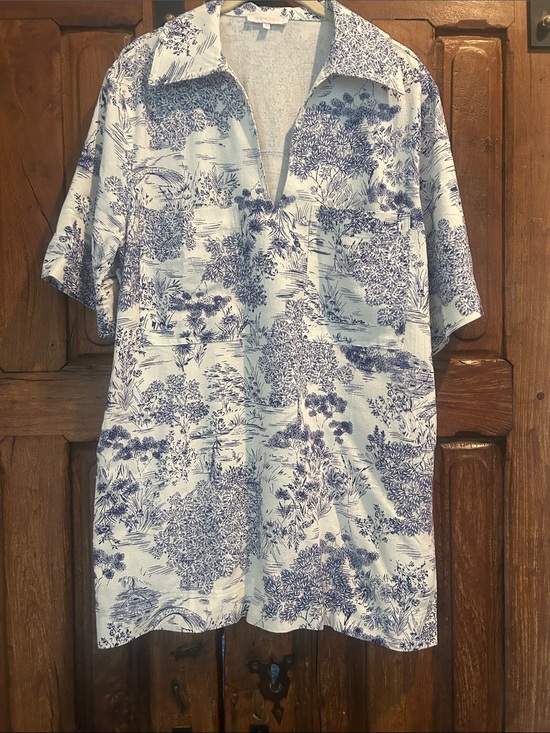 Olivaceous Dresses & Skirts - Olivaceous Blue and White Toile Dress